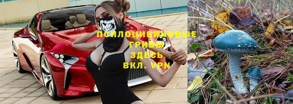 соль курить ск Нестеровская